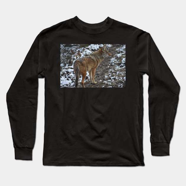 Coyote Long Sleeve T-Shirt by MarieDarcy